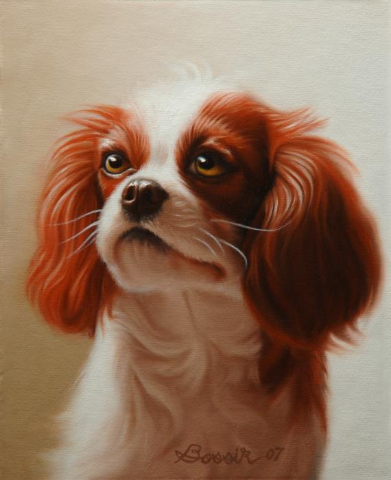 pet-portrait-of-a-cavalier-king-charles-spaniel-eric-bossik.jpg